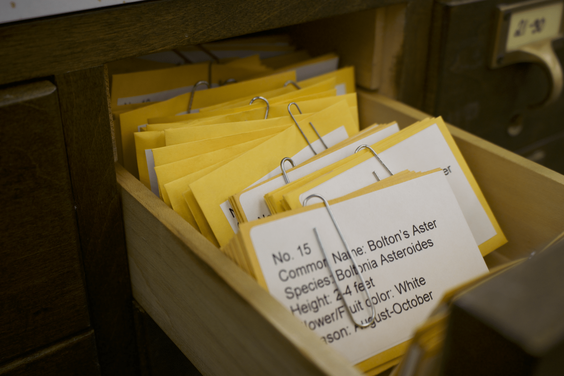 More Than Books Niles District Library